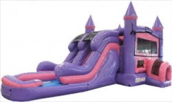 Pink/Purple Castle Combo Dual Lane Slides Wet/Dry