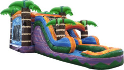 Tropical Combo Dual Lane Slides Wet/Dry